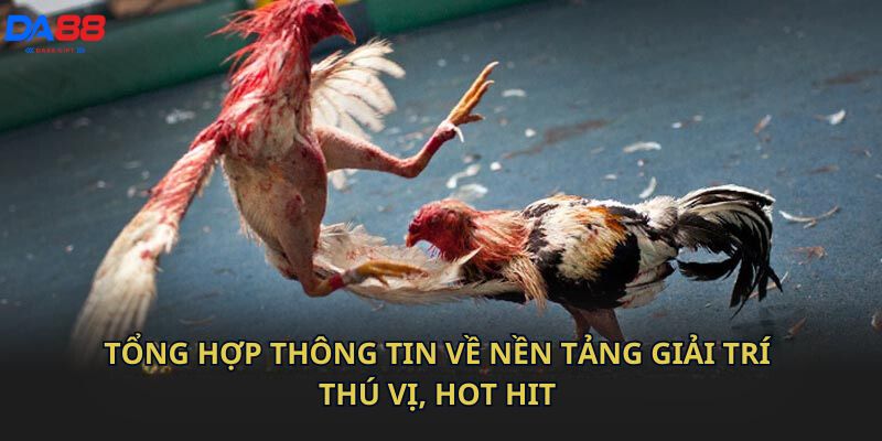 Tổng hợp thông tin về nền tảng giải trí thú vị, hot hit 