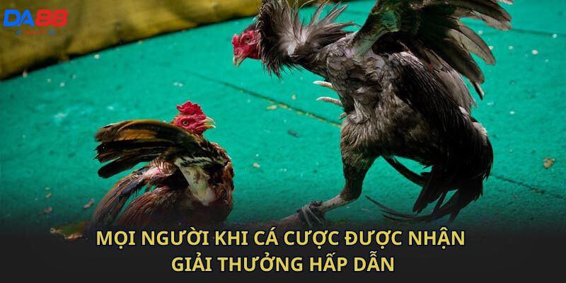 Mọi người khi cá cược được nhận giải thưởng hấp dẫn