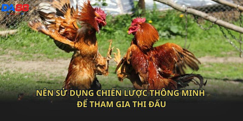 Nên sử dụng chiến lược thông minh để tham gia thi đấu